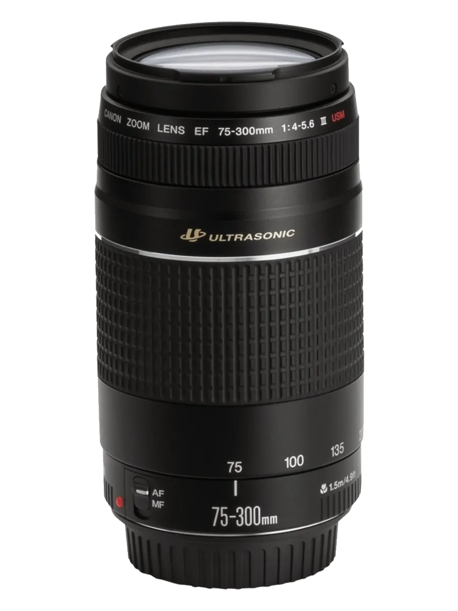 Восстановление переходных шлейфов Canon EF 75-300 f/4-5.6 III